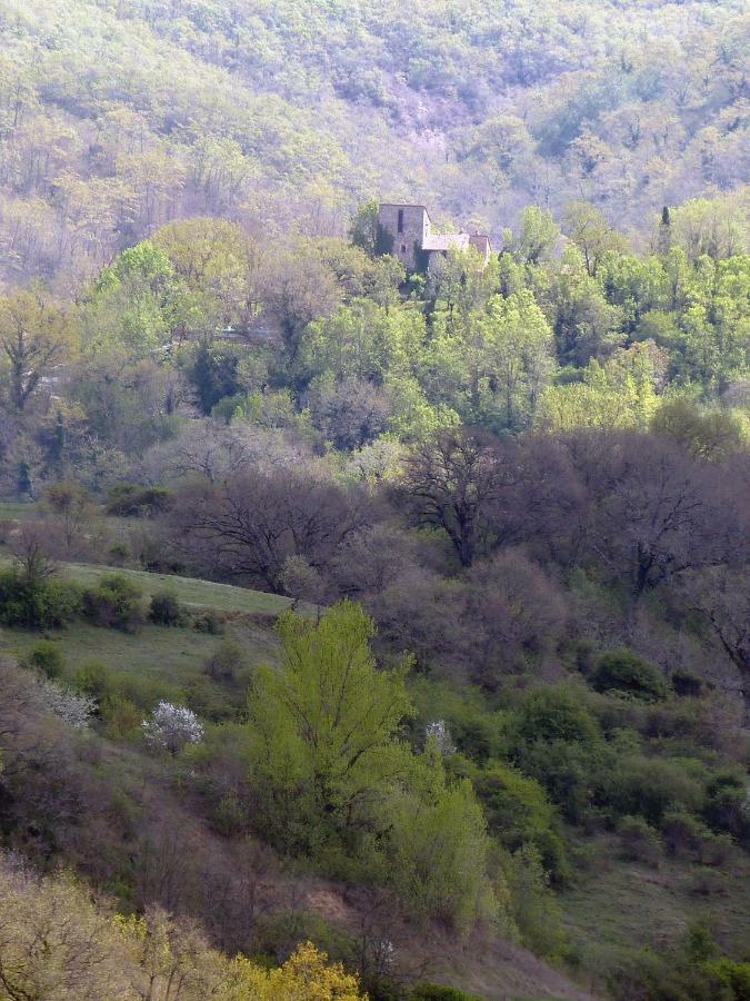 Torre Di Pornello Apartment Luaran gambar